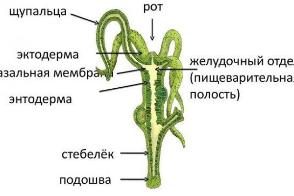 Kraken магазин интернет