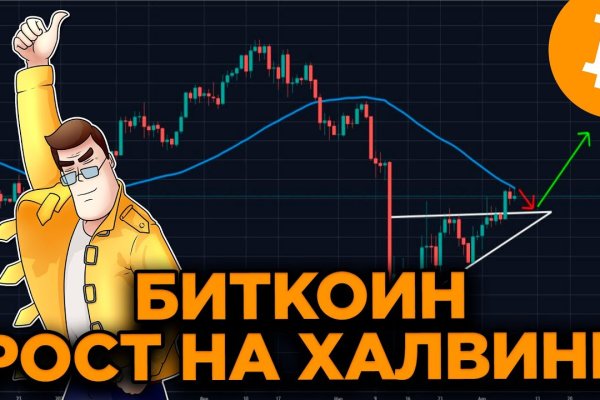 Kraken найдется все